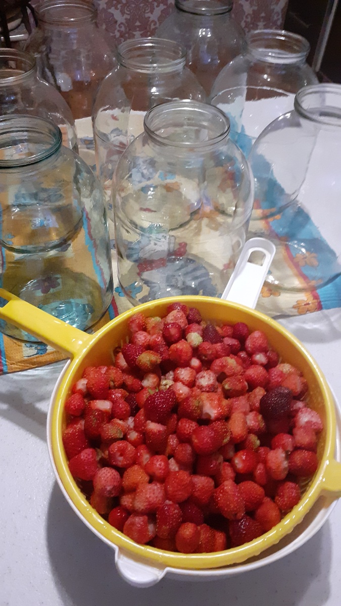 Клубника 🍓  или виктория 🤔