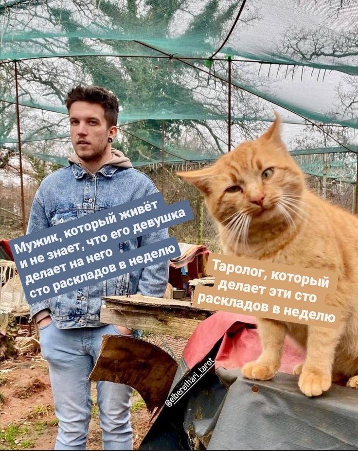 Фото из просторов интернета 