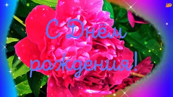 🌺С Днём рождения!🌼Эти прекрасные цветы для тебя!🌺Цветочное, музыкальное поздравление с Днем рождения! Лови миллион счастливых мгновений!