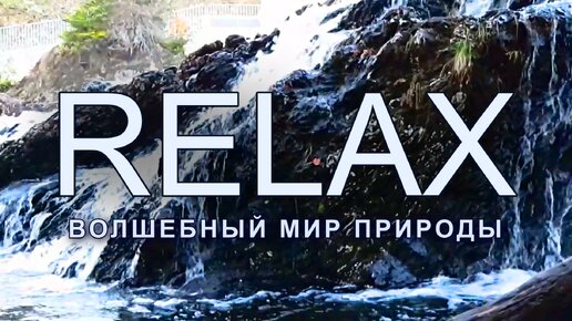🎵 RELAX MUSIC 🌿 Волшебный Мир Природы: Послабляющая Музыка с Шумом Водопада и Пением Птиц | Полное Погружение в Спокойствие и Гармонию