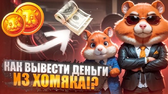 Как вывести деньги с Hamster Kombat! 8 июня - Комбо, Шифр и кошелек ТОН в Телеграм