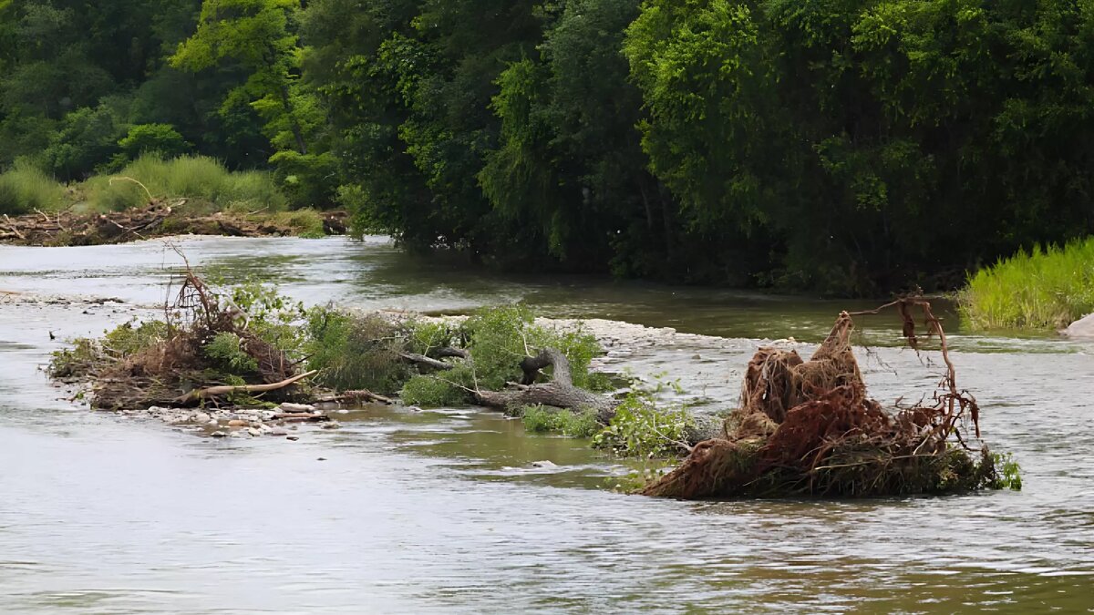     Автор: Диана Пермитина Источник: primorsky.ru