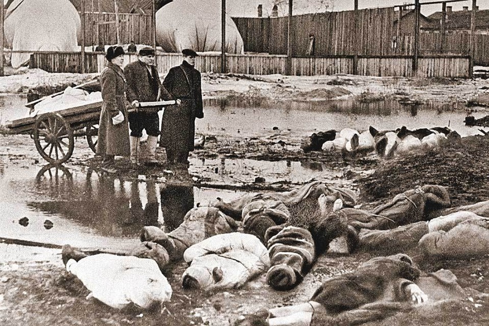    На улицах Ленинграда люди падали и умирали от голода уже в первый год блокады - фашисты воплощали «план Бакке». Фото: Борис КУДОЯРОВ/РИА Новости