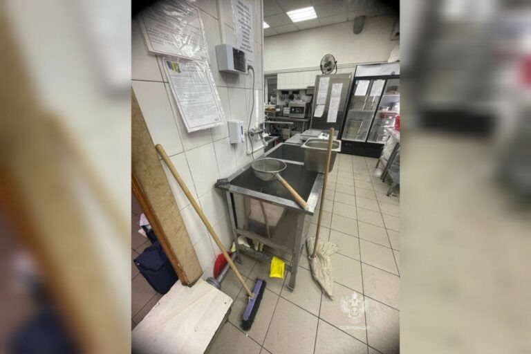    В Оренбурге из-за нарушения санитарных норм закрыли доставки «Оригами» и «Рио» Кристина Просвиркина