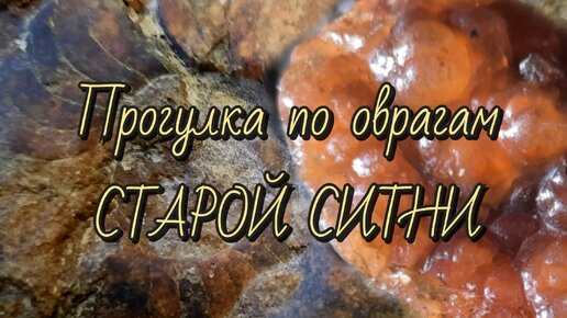 Прогулка по оврагам Старой Ситни за халцедонами. Нашли наутилус!