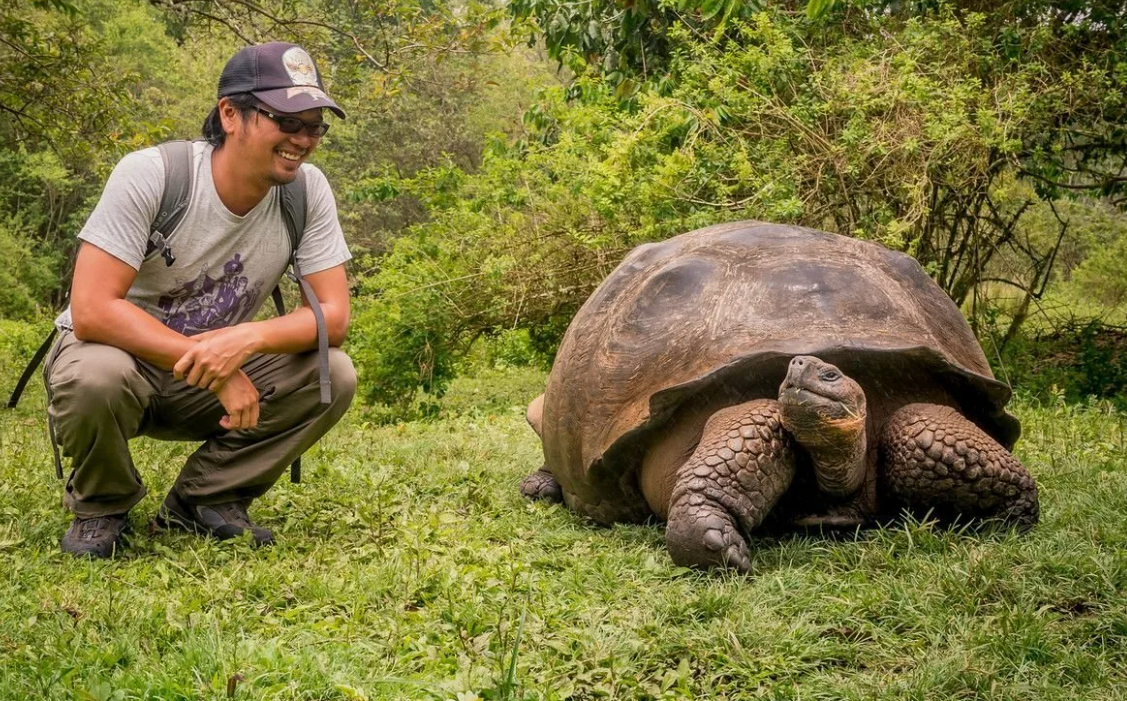 Галапагосские черепахи могут жить более 100 лет и весить до 400 кг. Они способны выживать без пищи и воды до года, накапливая запасы в своих телах.