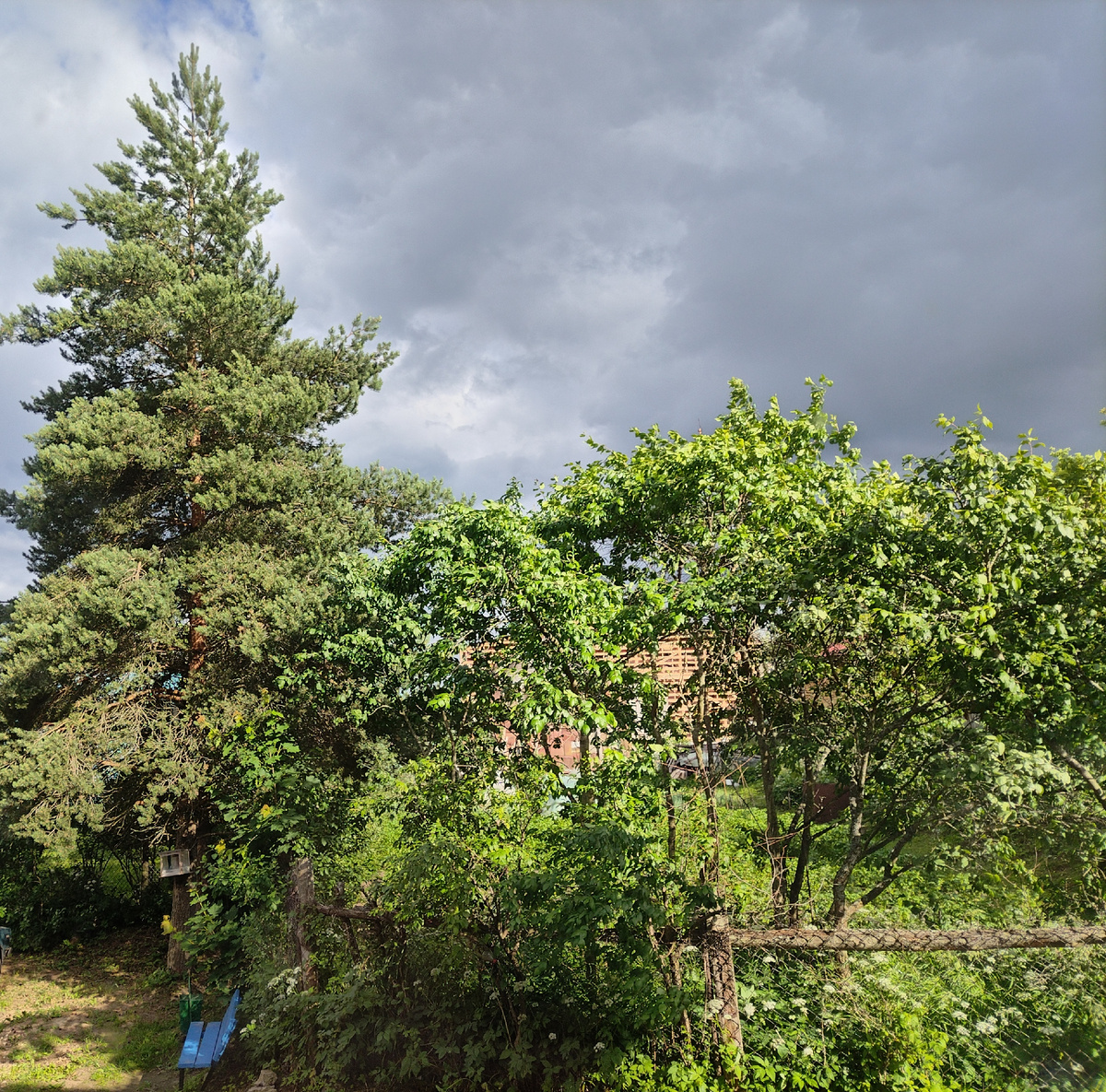 Вид из окна