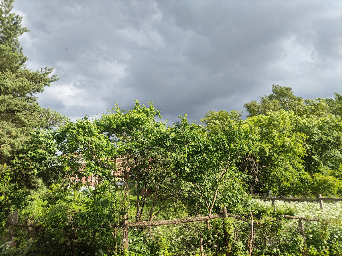 Вчерашнее небо перед дождем🙂