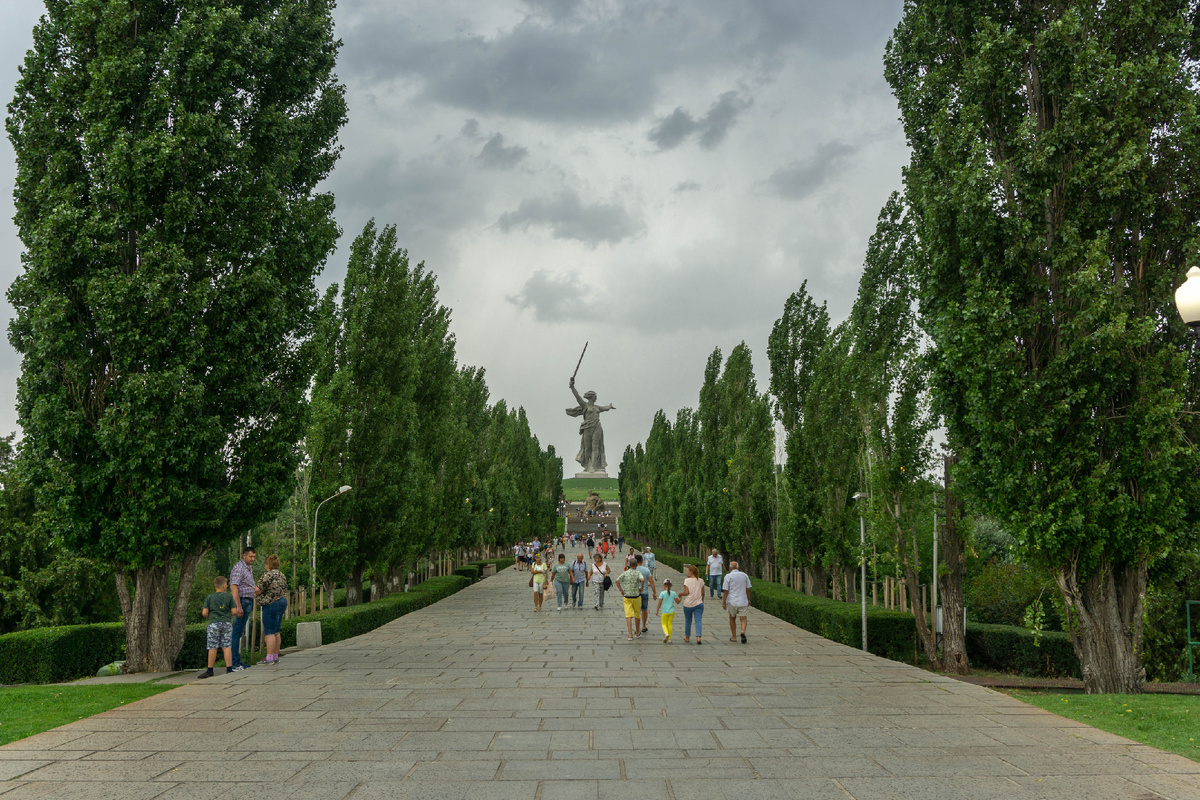 Аллея тополей