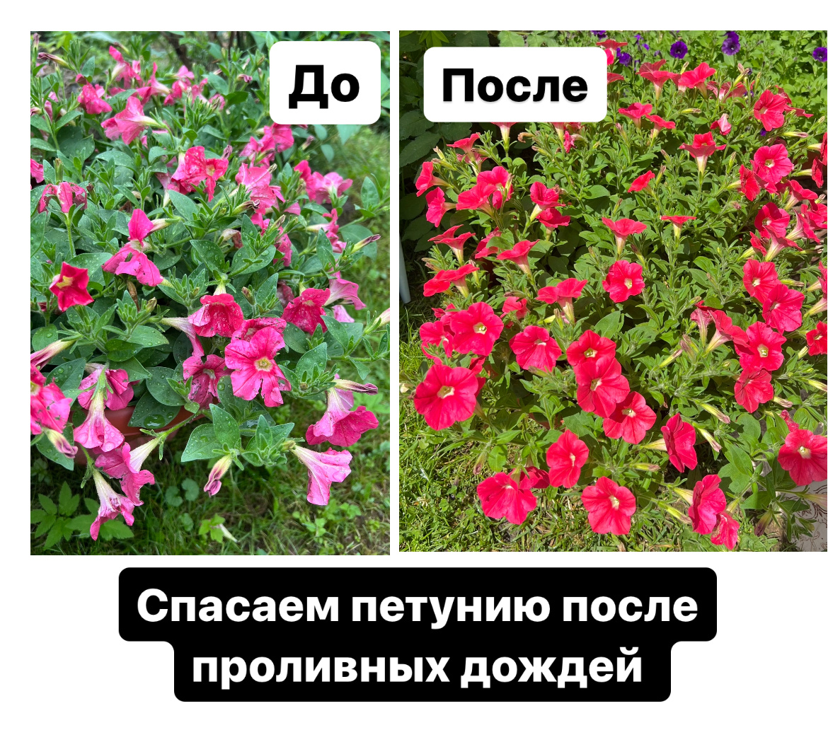 Разница между фото 4 дня 