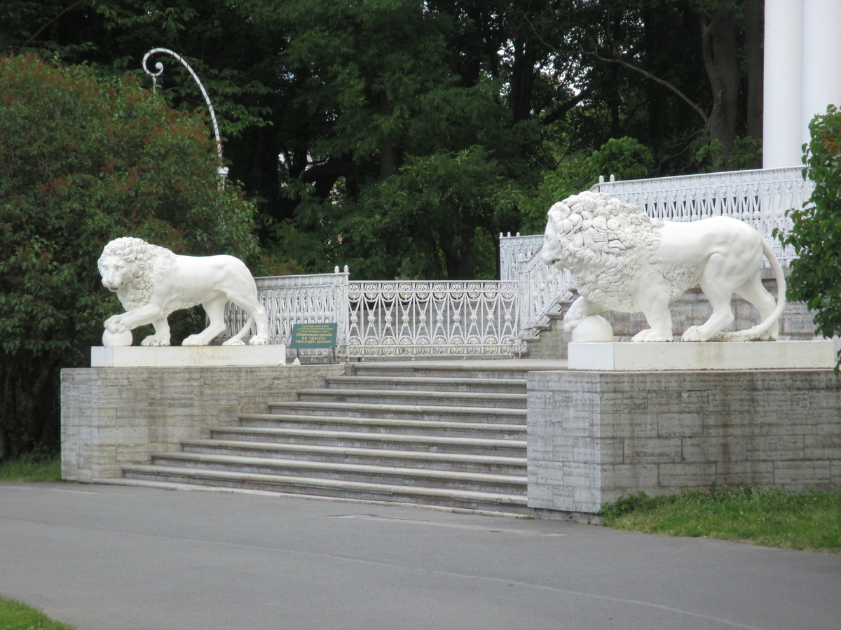 © Фотограф Семененко А. А. 05.07.2015. Ссылка обязательна.