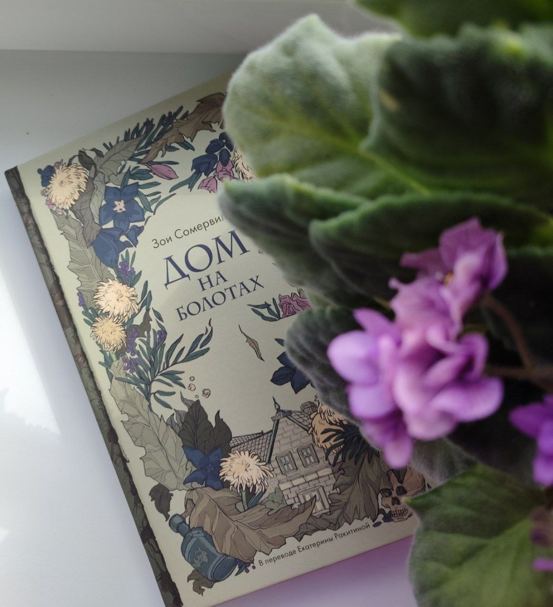 Я только-только распаковала новую книгу