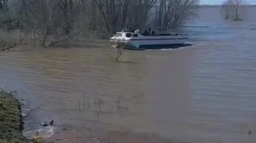 Спасение домашних животных из опасности! Довели хозяйство до полного дна!