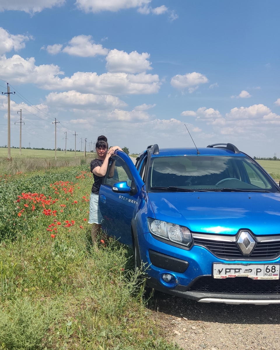 В полях Ставрополья