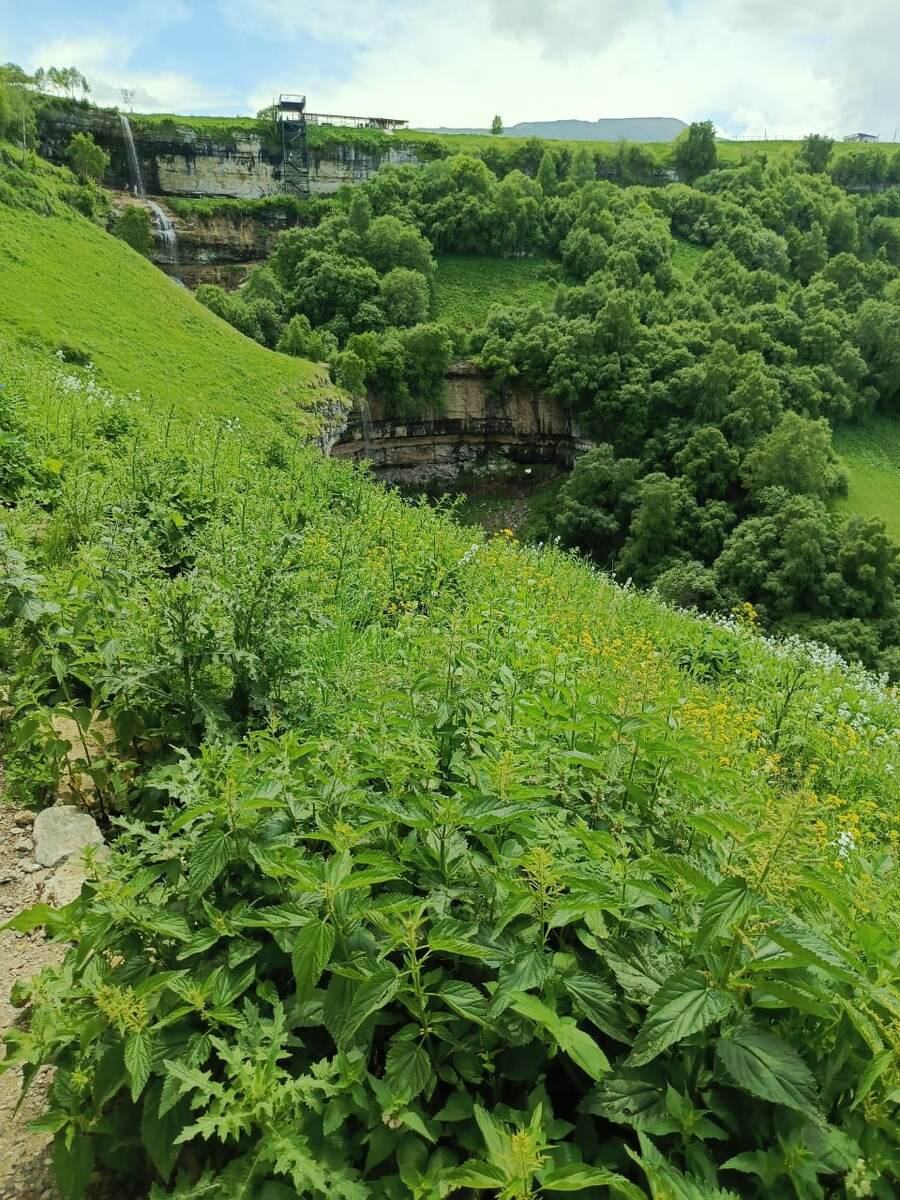 Фото из личного архива