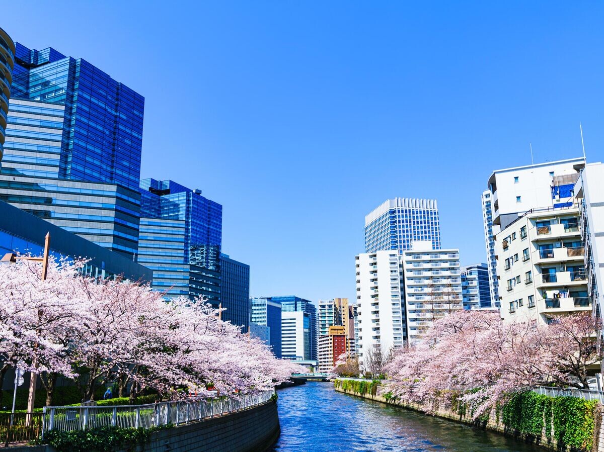    Цветение сакуры в Токио, Япония© iStock.com / show999