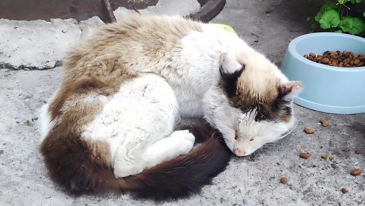     Источник: vk.com/magnitkacity