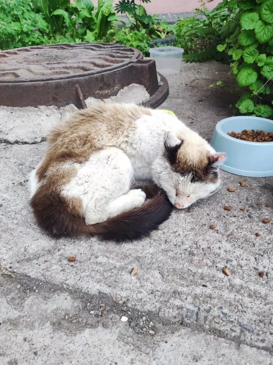     Источник: vk.com/magnitkacity