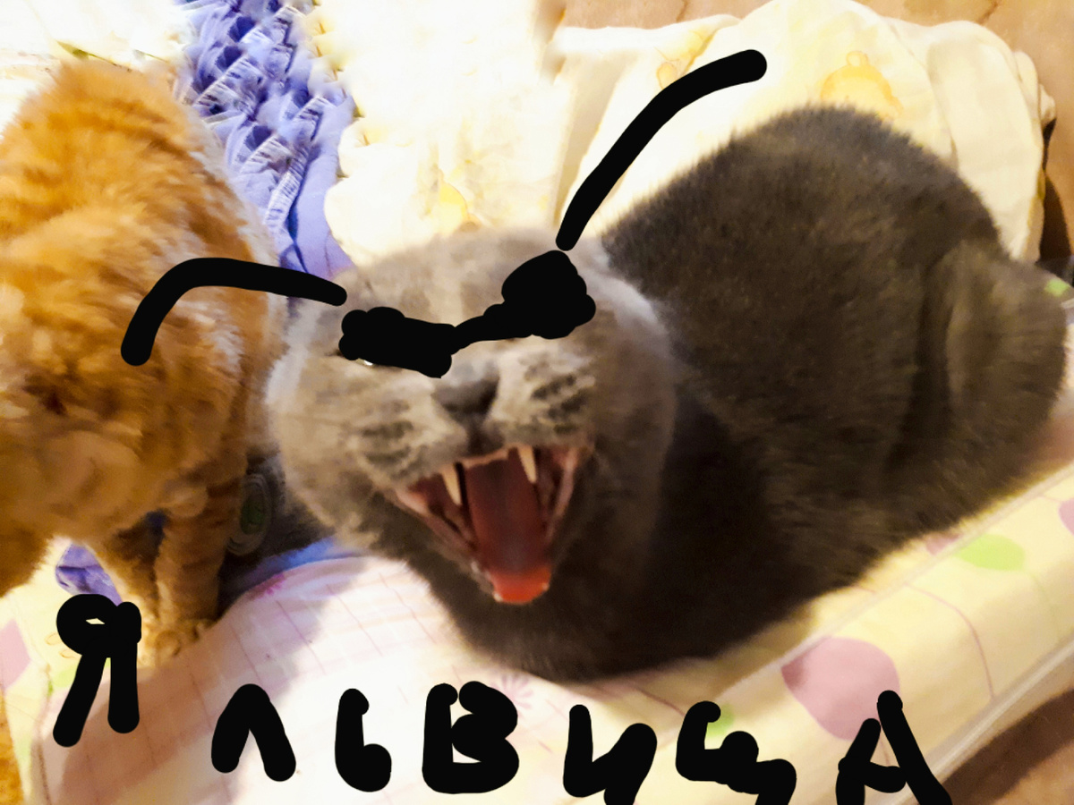 Фото, стыренное у детей. Так видят её они