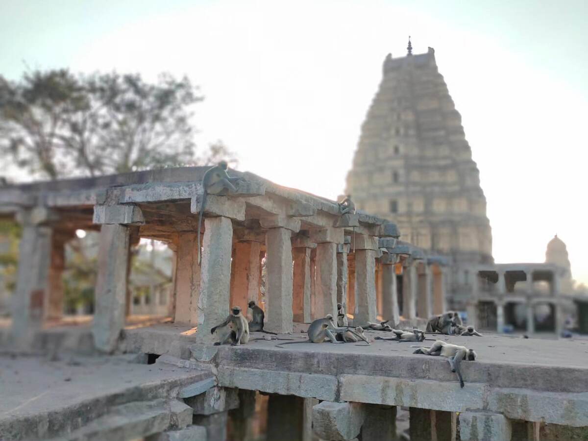 Хампи (фото Антона Пересада