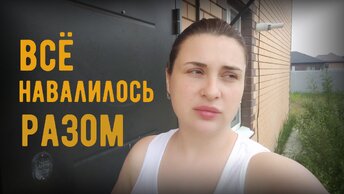 Нужно сьежать. Все смеялись. У них всё есть. Из Германии в России.