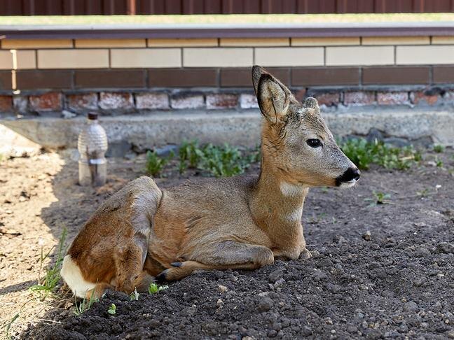 Фото: Елена Журавлёва
