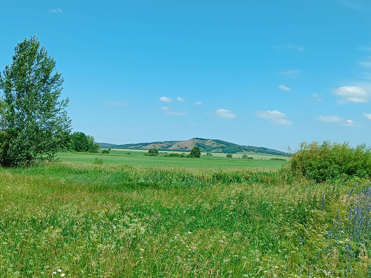 Фото автора. Гора «Шихан"