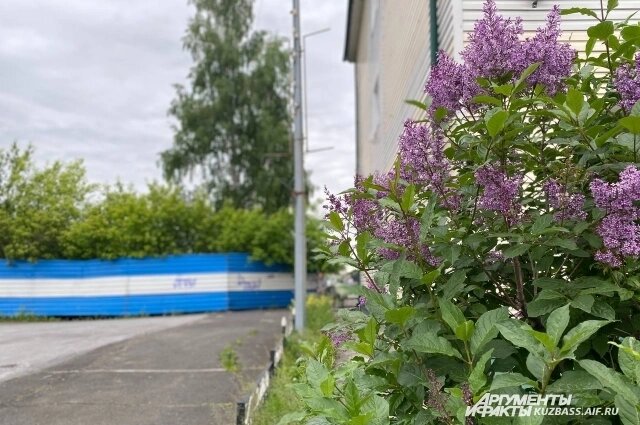    Всего в нескольких метрах от места гибели Полины. Фото:  АиФ/ Анна Городкова