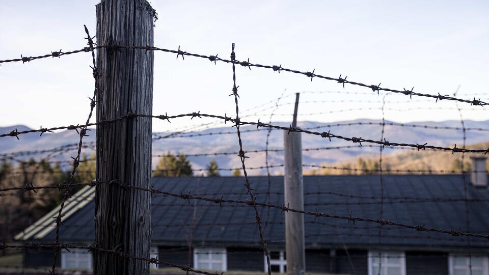 Фото: © Global Look Press/Panoramic/Keystone Press Agency