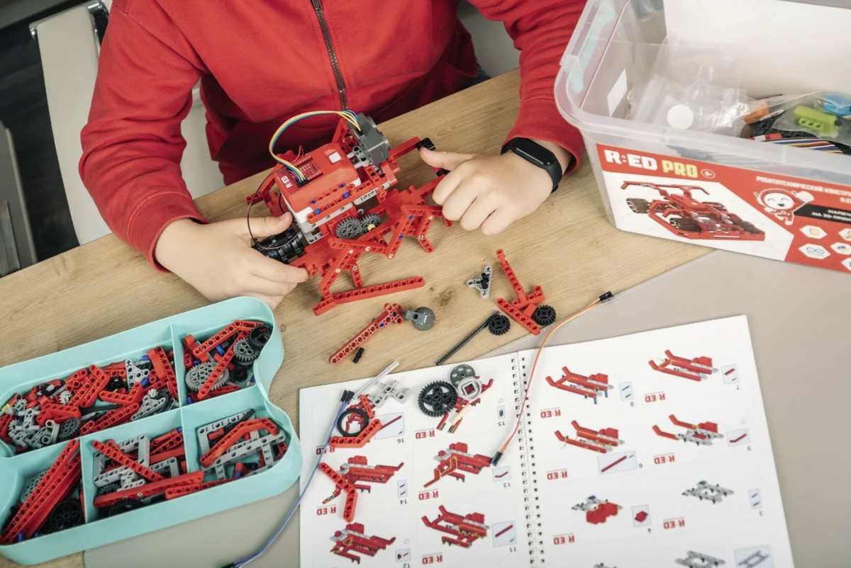 Фото: r-ed.world