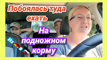 Попали в немецкую тюрьму🤔 Решила рискнуть/ Приключения Щепоткиных/ Куда глаза глядят/ Чудеса на виражах/ Я подарю вам ландыши