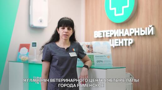 Чекап питомца старше 7 лет: это важно?