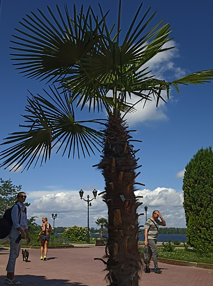 Самарская Набережная. Фото автора