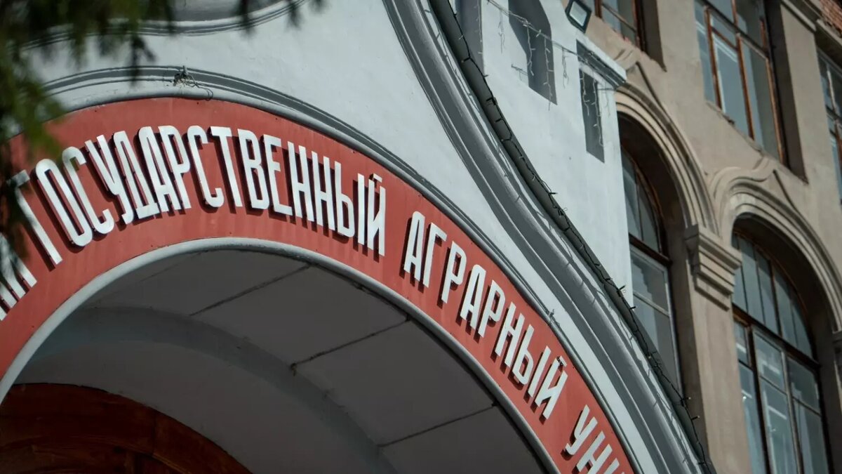     Источник: 1MI