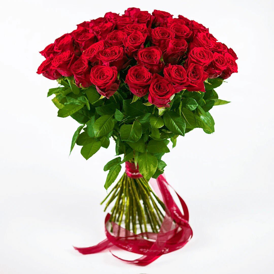 51 красная роза из Эквадора от AzaliaNow  📷
