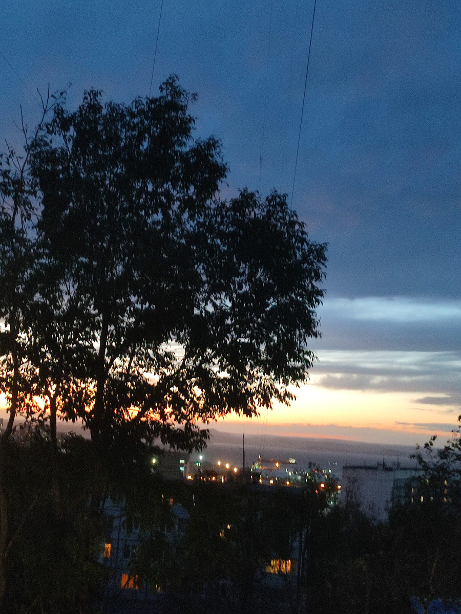 Фото автора.