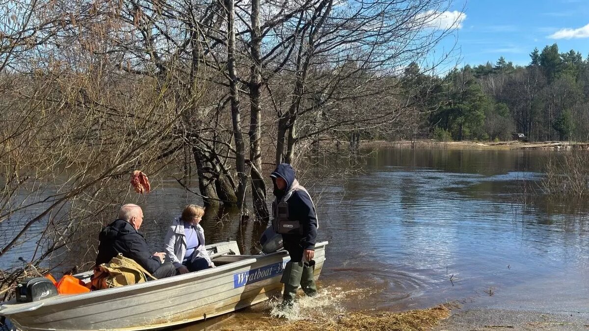     Источник: newsnn.ru