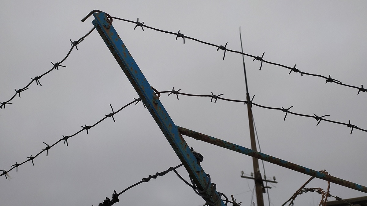 Фото: https://tvzvezda.ru/ (https://mcdn.tvzvezda.ru/storage/news_other_images/2024/06/16/a4bd00159d804384b2c4201b1a2f780b.jpg)