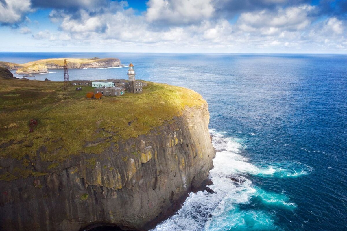 Иллюстрация: Wildberries  📷
