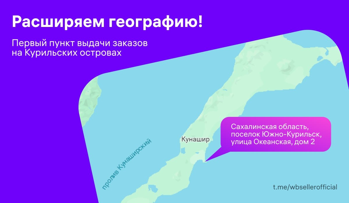 Иллюстрация: Wildberries  📷
