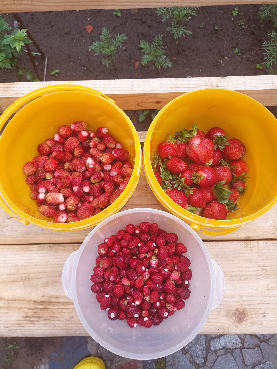 Успели до дождя