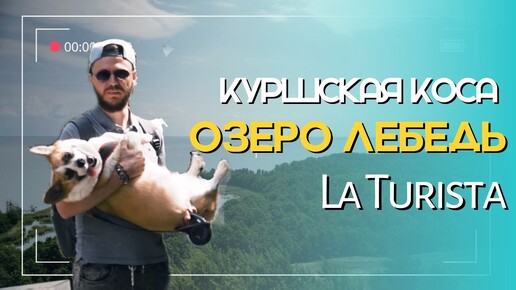 КУРШСКАЯ КОСА | ОЗЕРО ЛЕБЕДЬ. ЧТО ПОСМОТРЕТЬ? Краткий обзор эко-тропы национального парка!