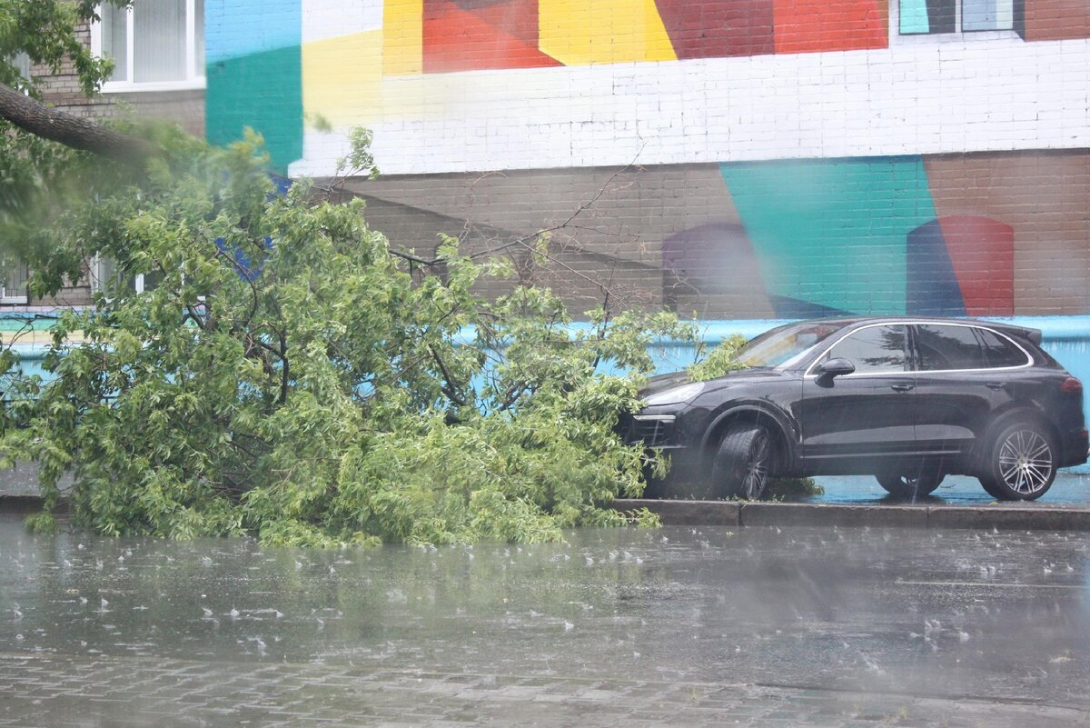    © Евгений Запискин