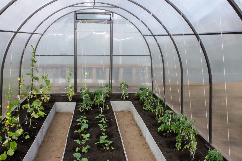    ShutterStock/Fotodom.ru