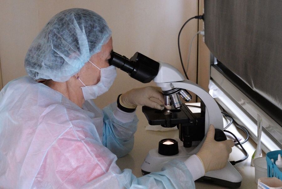    ©РИА Новости/Илья Наймушин