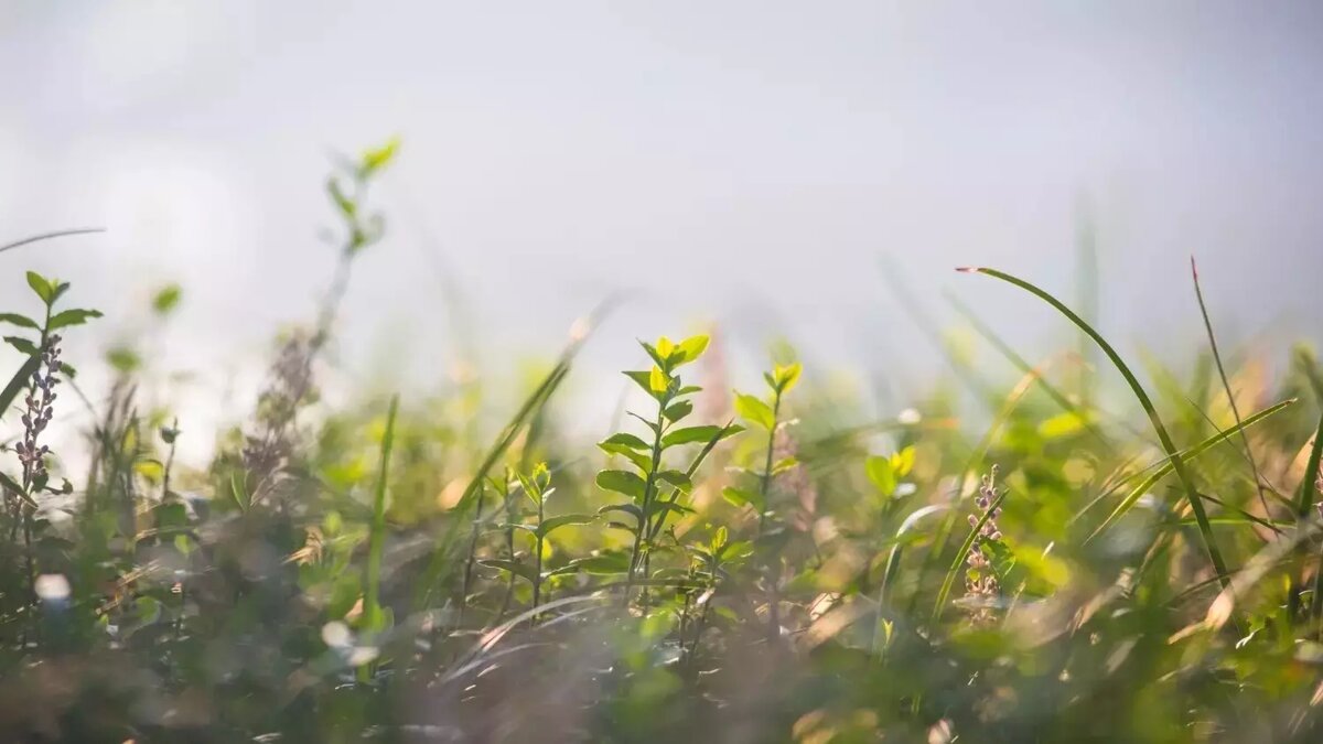     Источник: Freepik