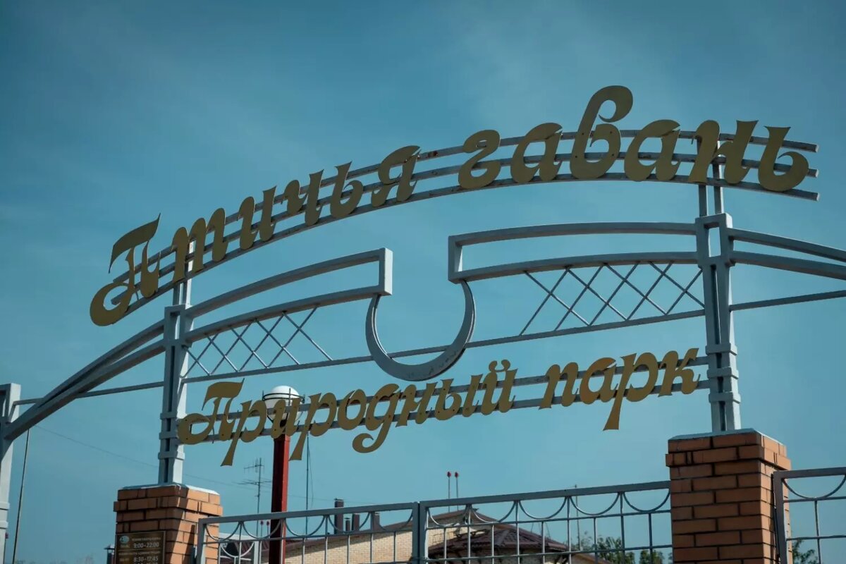     Источник: 1MI