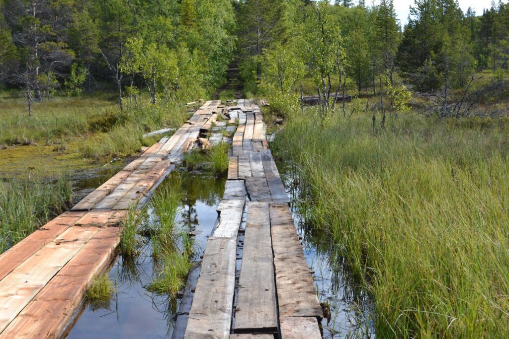 Дорога на острове Анзер