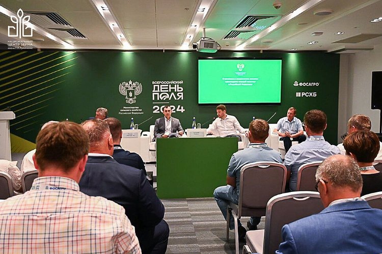     В 2024 году Россия удвоила площадь посевов твердой пшеницы - озвучены планы на пятилетку
