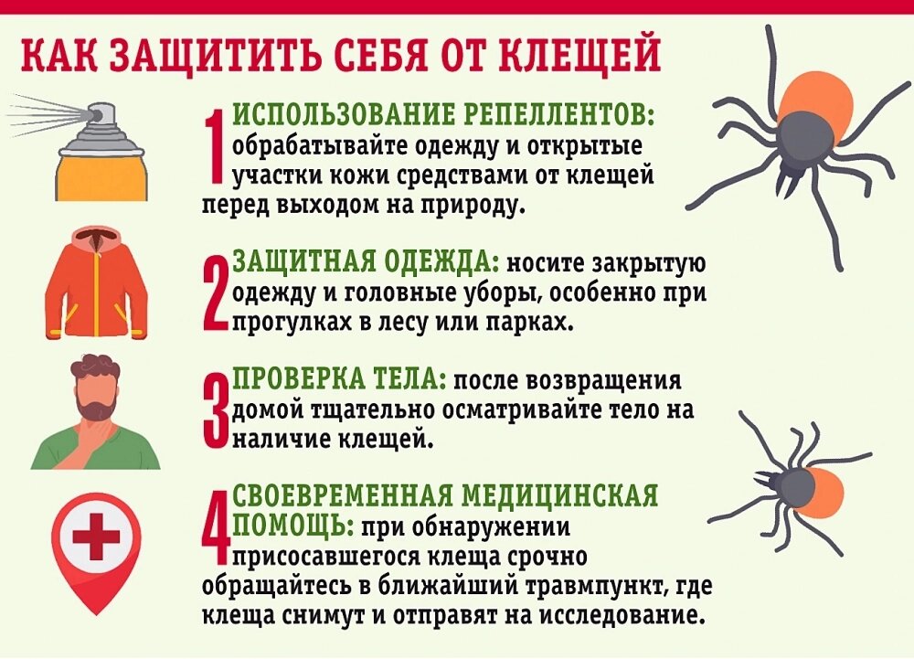    Фото:  АиФ/ Вероника Такмовцева